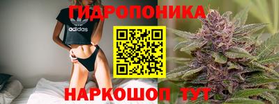 СК Камышлов