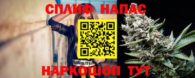 дживик Кандалакша