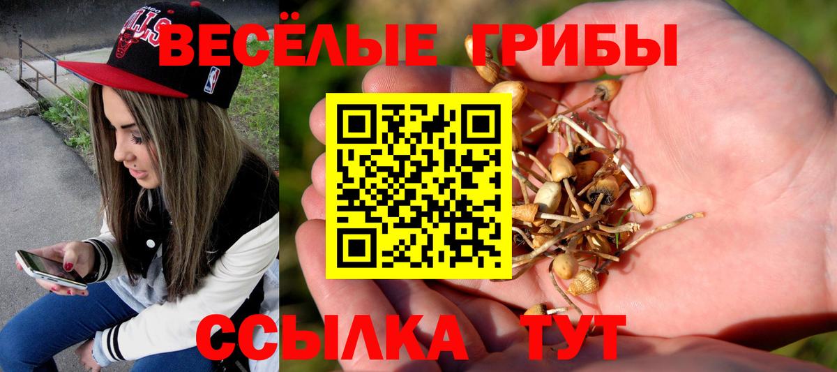 Псилоцибиновые грибы Cubensis Кстово